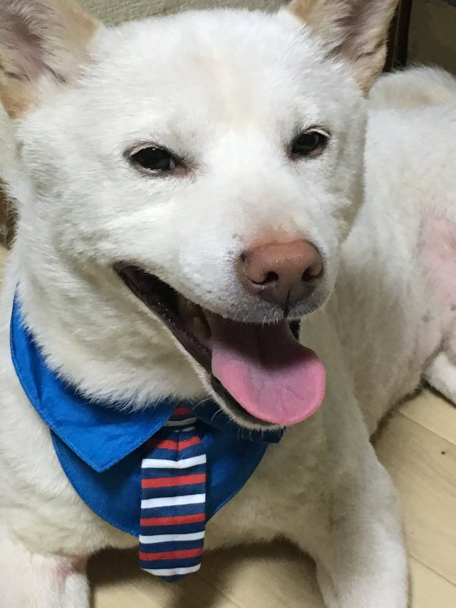 番犬もいます(^○^)