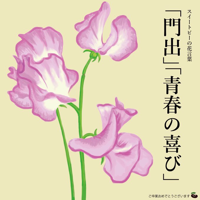 スイートピーのtwitterイラスト検索結果 古い順