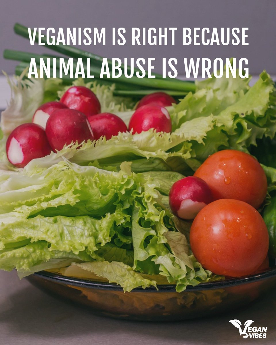 Vegan Vibes (@veganvibespage) on Twitter photo 