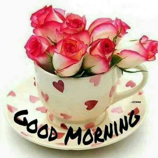 Sarbkaur5's tweet photo. ਕਦੇ #ਕਹਿੰਦਾ ਸੀ ਤੇਰੇ ਬਿਨਾਂ #FuTuRe ਨੀ ਮੇਰਾ,,,
:
:
#ਅੱਜ_ਕੱਲ KamLa ਮੈਨੂੰ ਆਪਣਾ #PasT ਦੱਸਦਾ ਆ....
:
: https://t.co/OBkSQXLKbQ