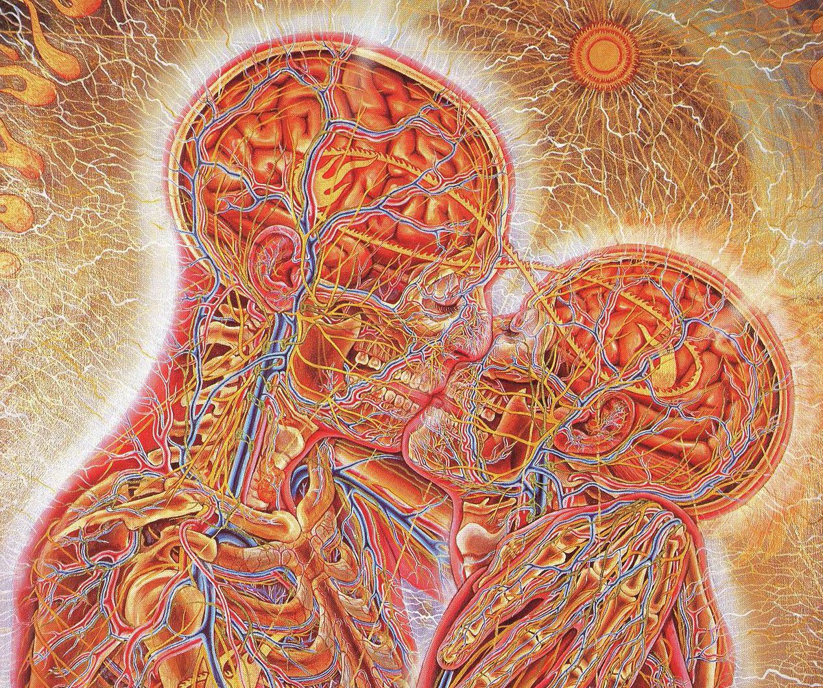 ‘The Abominable Dr. Phibes’ (1971)
Alex Grey (1983)