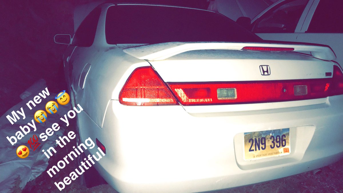 tayler (@tayflowerchild) on Twitter photo 