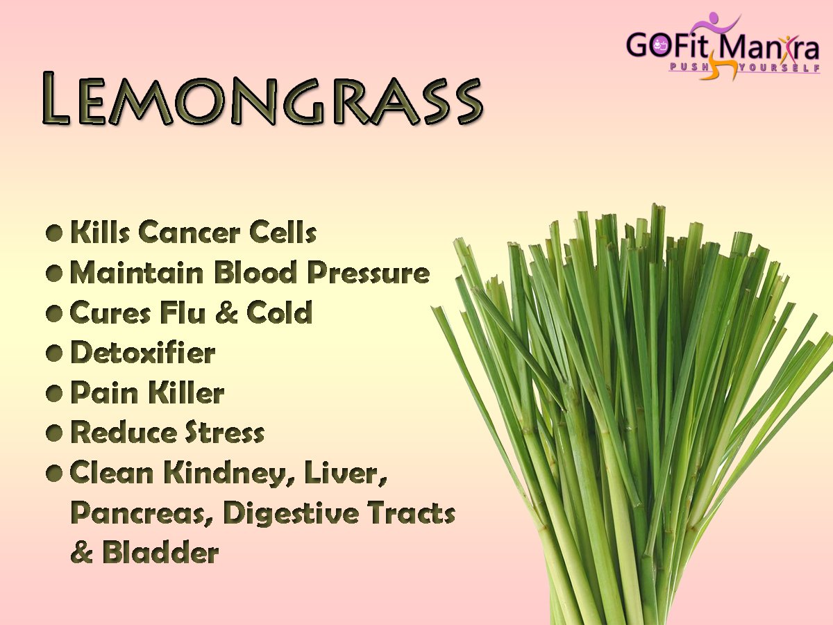 Image result for lEMON GRASS BENEFITS