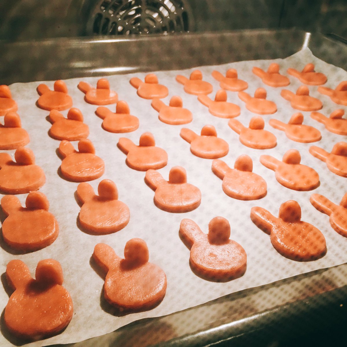 🍪🍪