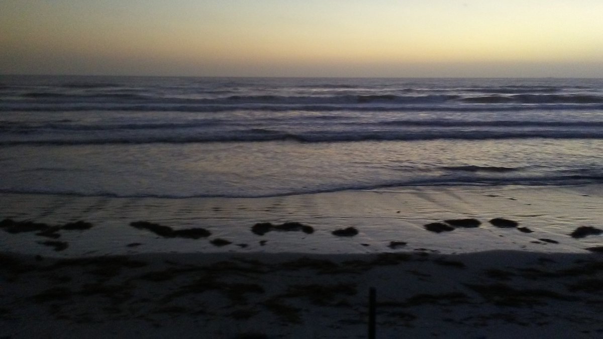 ARStallman's tweet photo. Waking up and sitting by the ocean... A great way to start any training😌 So excited to see what the day brings... https://t.co/42mZm2HioN