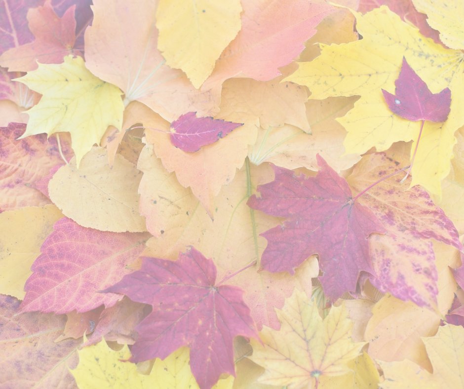 vickycahoy's tweet photo. October is not my favourite time of year.
https://t.co/0kHrO3qR7n
#delayedgrief #loss #grief https://t.co/uxaecPmync