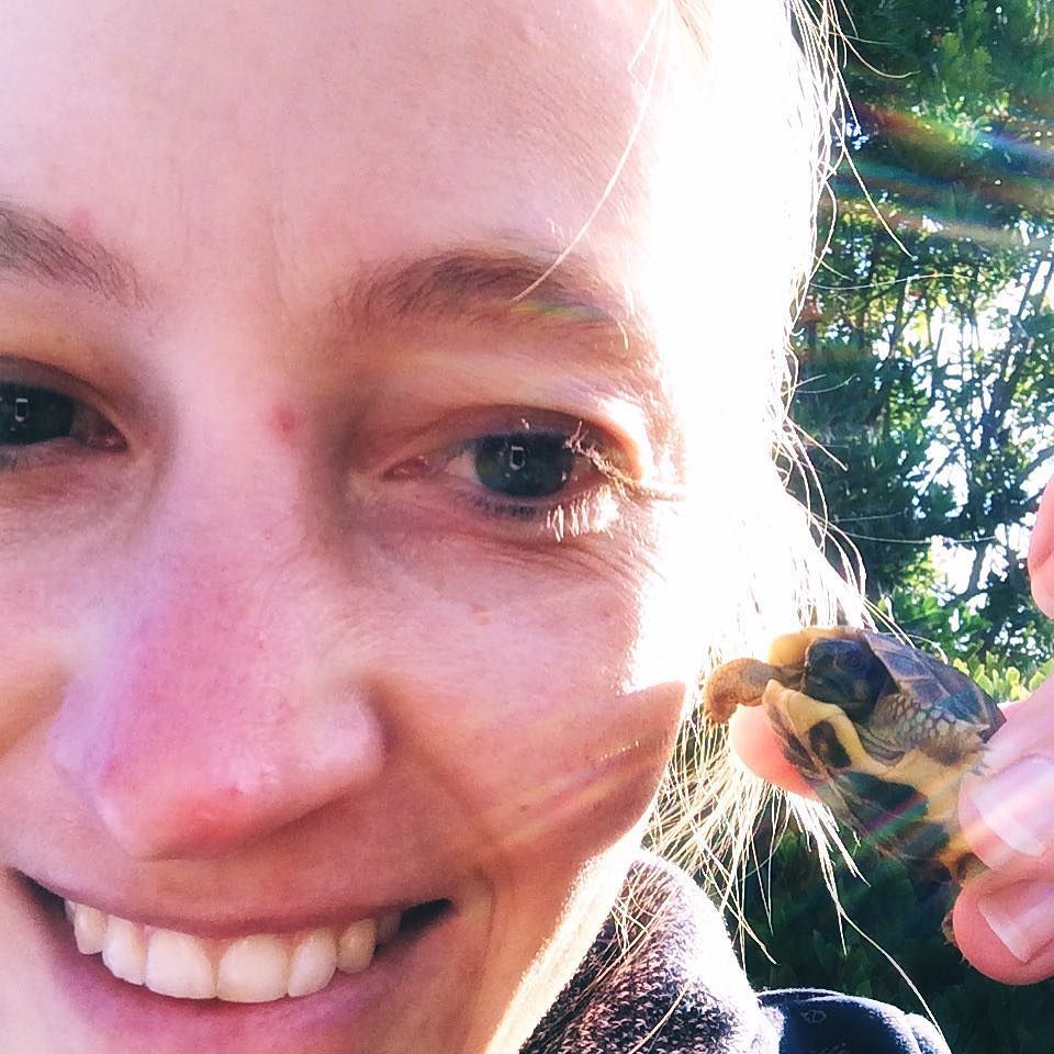 JuliaDessalles's tweet photo. Autorin im Glückshormonrausch! Babyschildkrötenbesuch rettet jedes noch so verlorene Herz. 💚🐢#socute #miniturtle #… https://t.co/IqGfPW1keH https://t.co/zf4SKgrZAA