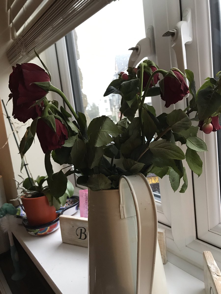 M S On Twitter We Always Guarantee Our Flowers To Last At Least 5 Days Please Take Your Receipt And Or Packaging To Store Next Time You Visit 1 2 Https T Co 6szbaav51q