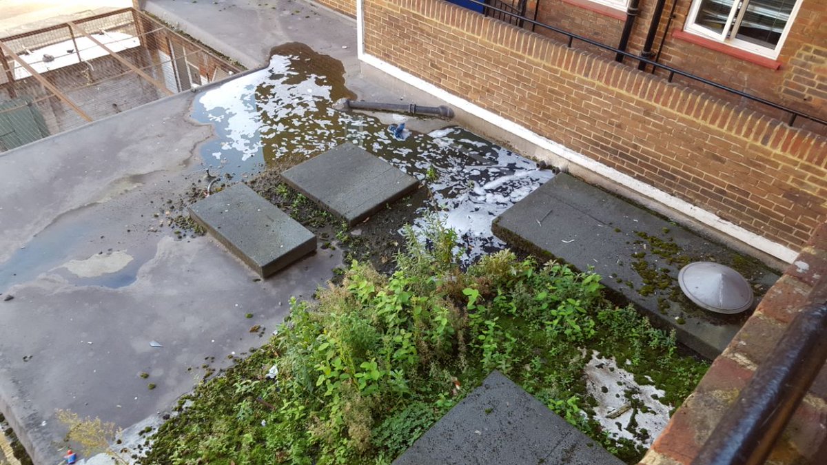 Rockingham Estate tweet media