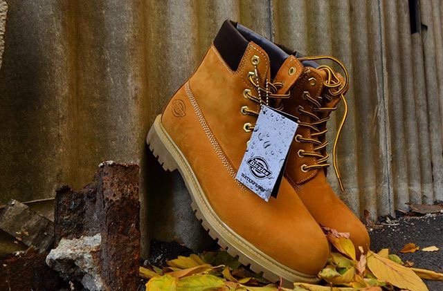 dickiesboots