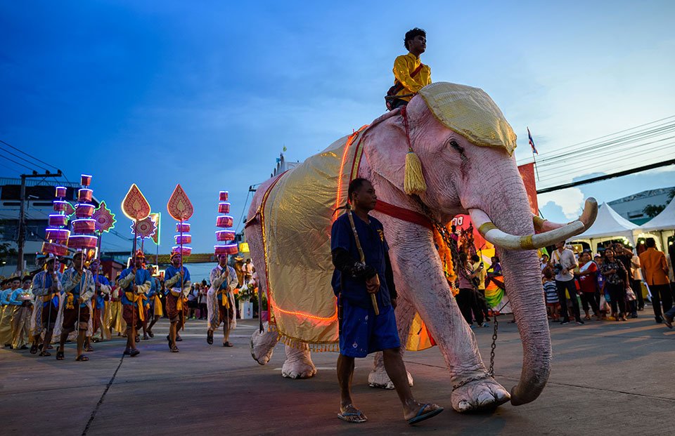 BoscoloOfficial's tweet photo. Dal festival delle #lanterne a quello degli elefanti, i festival da non perdere in #Thailandia su #BoscoloBlog https://t.co/bUQMRErzbC https://t.co/jD5TiNRu2X