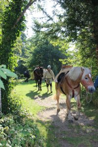 CambridgePPF's tweet image. Today's the day! Come to Wandlebury noon onwards and immerse yourself in the park and its history and archaeology. tinyurl.com/WonderfulWBury