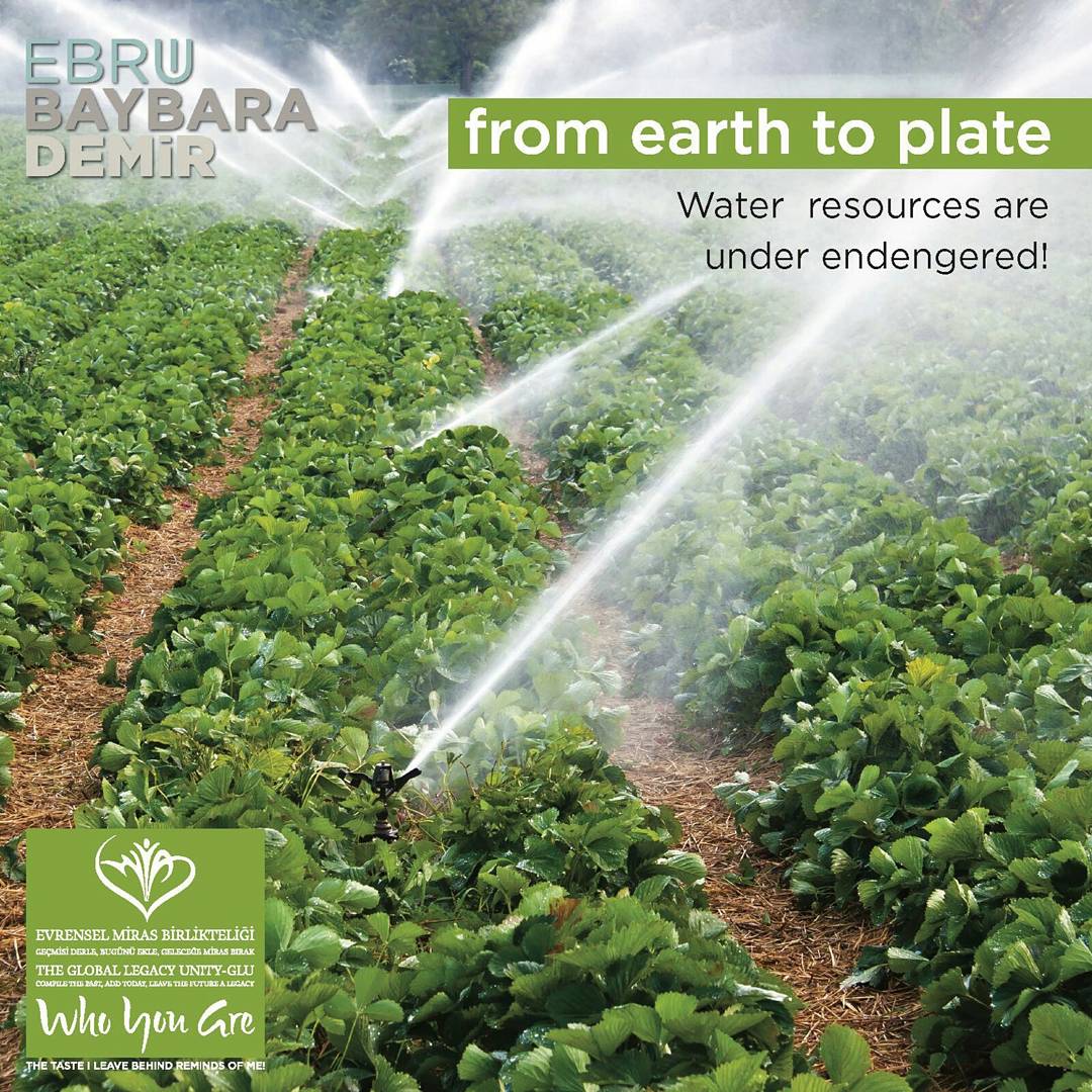 cercismurat's tweet photo. In the same way, our underground waters are polluted with the use of medicinal and soil damaging seeds.
#ChefEbruBaybaraDemir #Mesopotamia https://t.co/YHAEqU77lX