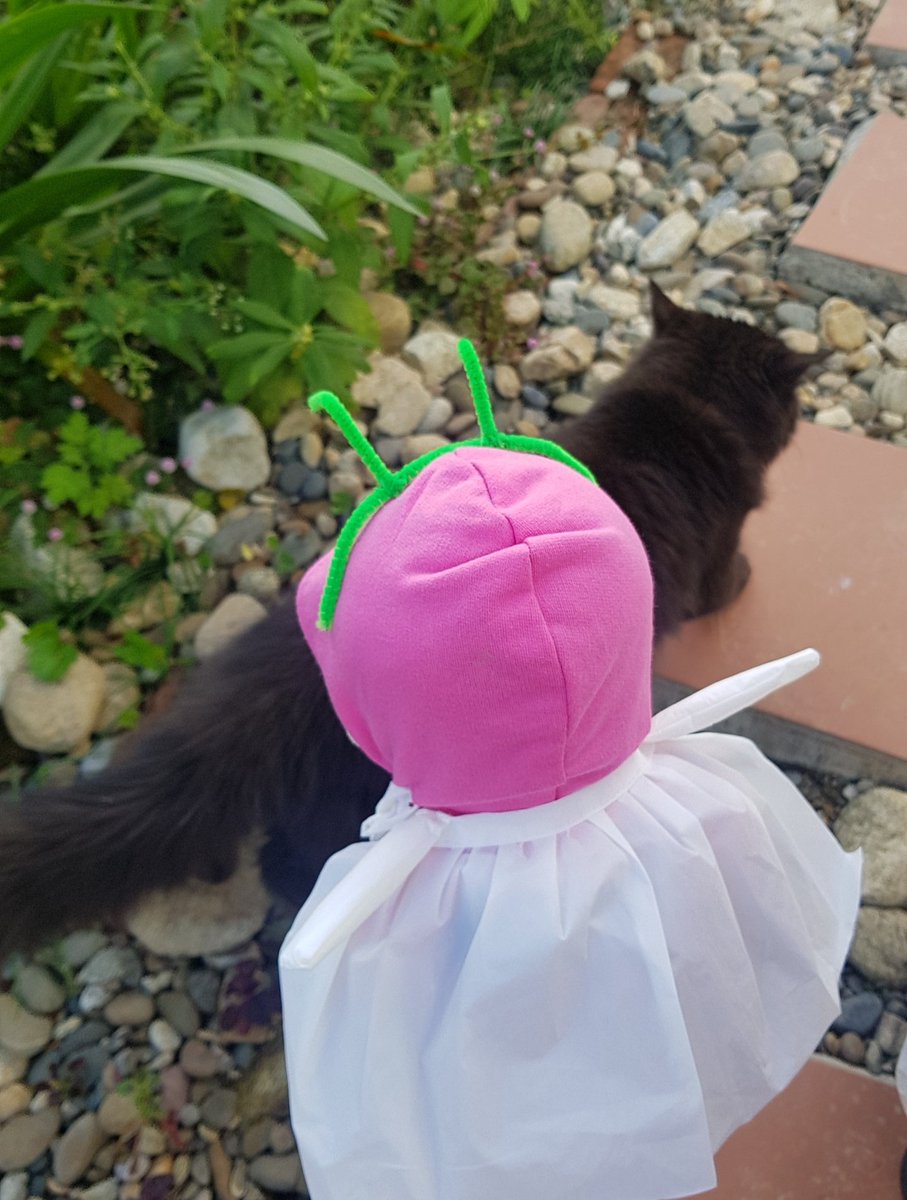 안뇨옹 이름이 모냐아앙~? 😻