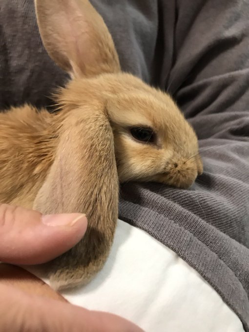 Twitterのコスプレ画像48