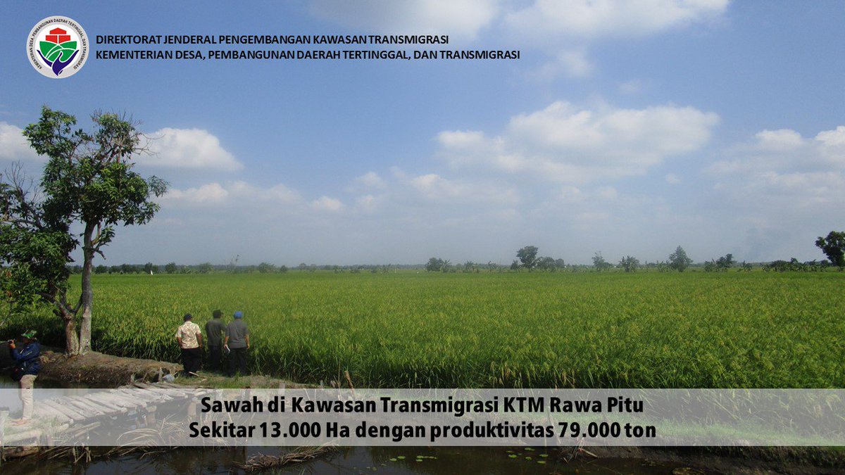 aromli354's tweet photo. KTM Mesuji unggul dgn Prukades beras dan jagung. Pengembangan dilakukan di lahan seluas 30rb hektar #TrasmigrasiMembangunNegeri https://t.co/triAa7fvMC
