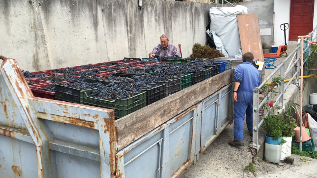 Vinotecatierra's tweet photo. En directo desde @BodegasObanca (Asturias)...pinta muy bien! 👌 https://t.co/04ElLDh8o2