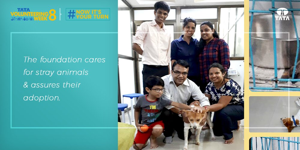 pet owners and animal lovers foundation