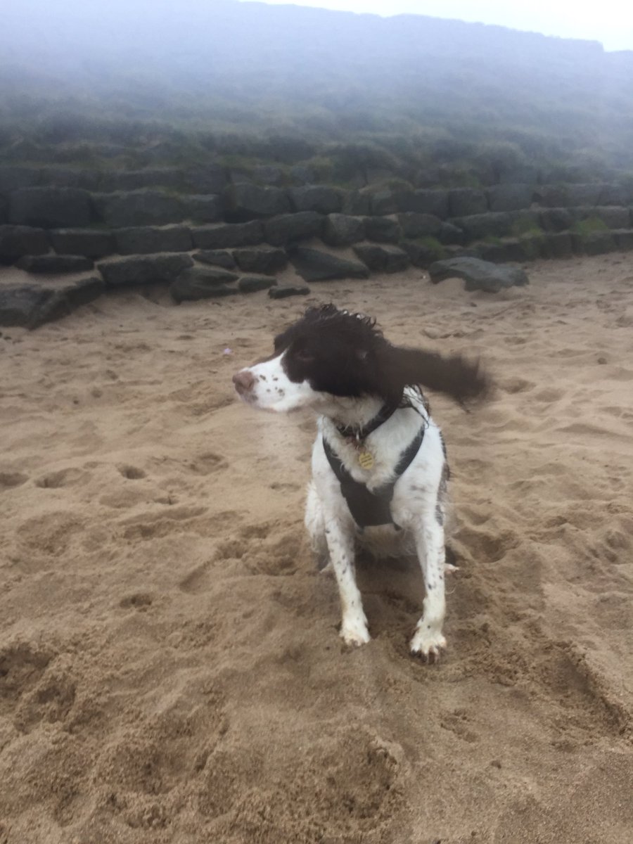 RubyRubyduby1's tweet image. Pretty wild and windy this morning !!!