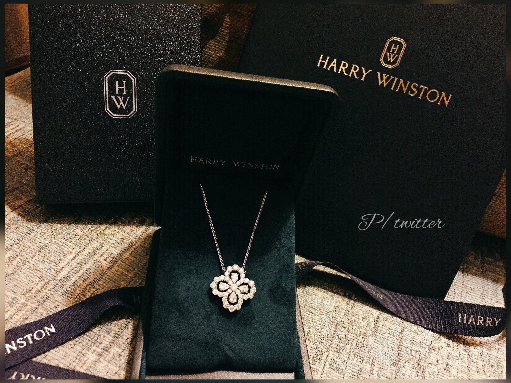 Harry winston loop necklace best sale