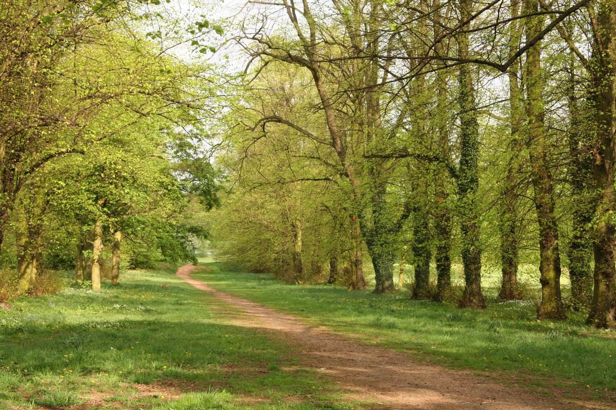 SIX #Nottingham parks have been nominated for UK's Best Park! Is your favourite not on here? Nominate it now! #proud goo.gl/HFzbg2