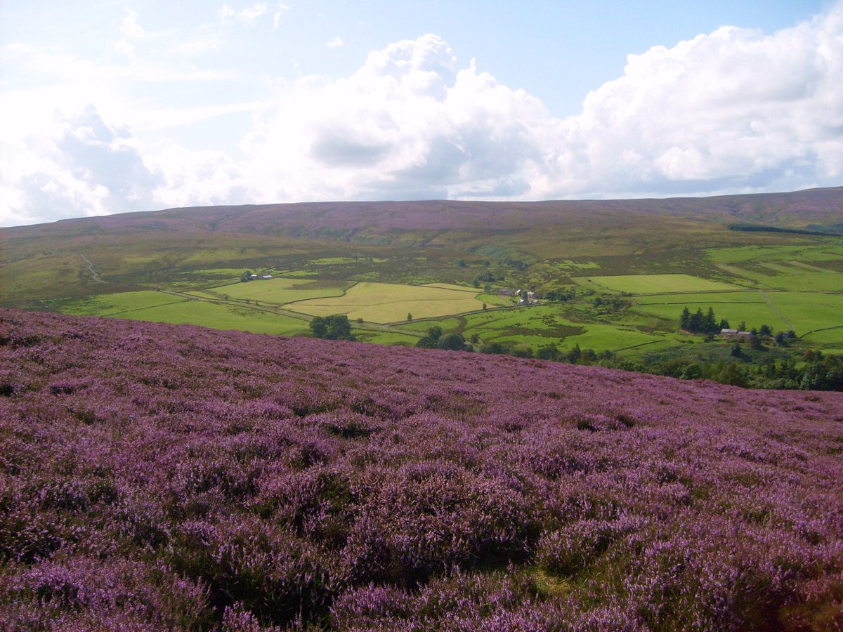 A landscape of tumbling waterfalls and vast heather moors awaits at @NorthPennAONB ow.ly/yh1T30fH7w6 (photo credit: R Morris)