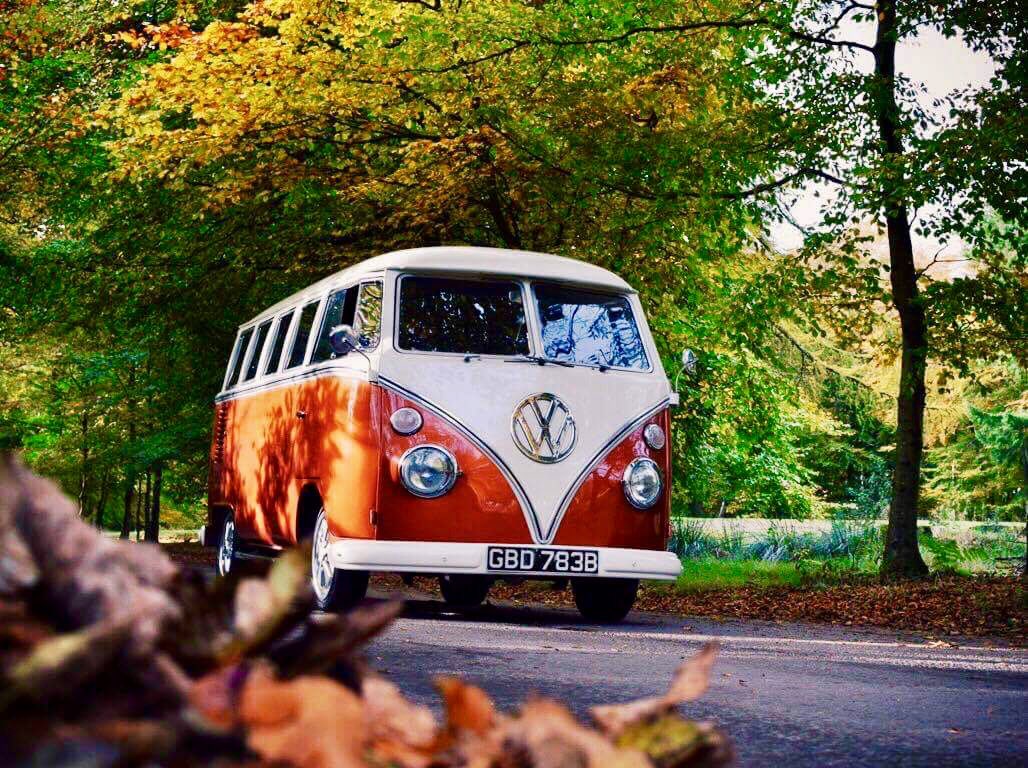 BCKclassicshow's tweet photo. Stunning #Bckshow https://t.co/edZBmg7kfh