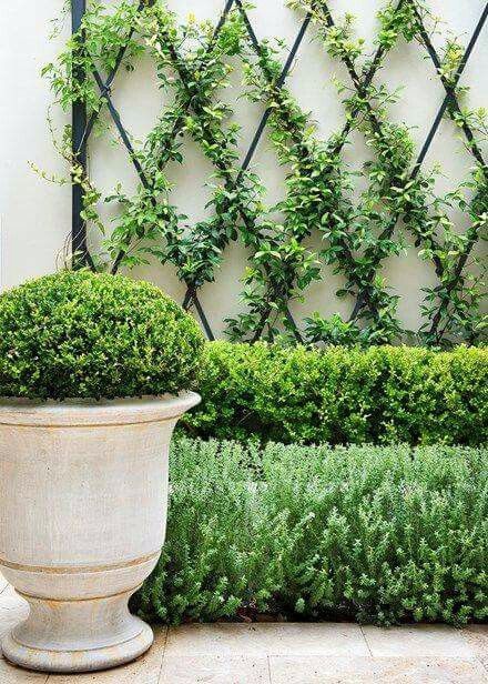 Vereal_LU's tweet photo. Conçue pour les travaux dans les arbres, la #tronçonneuse élagueuse est idéale pour vos travaux de #jardin. https://t.co/1kNFqd1eBQ