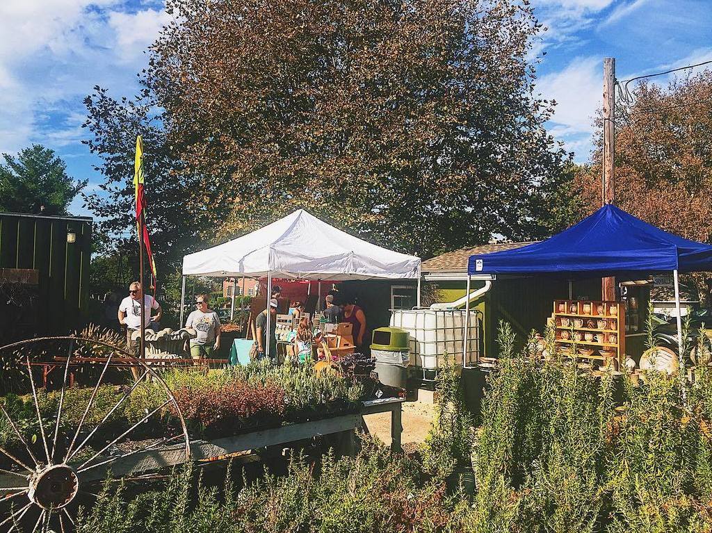 We're sharing images on Instagram @hamiltonlauraville. Check out our latest post:ift.tt/2z78yfk