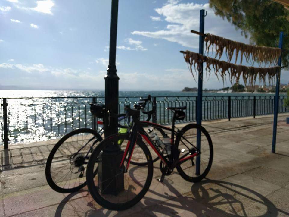 GCHols's tweet photo. Last day of #ladiesweek. Hot windy #cycle to Seta. #climbing #QOM #ladieswhocycle #teamGCH #girlsonbikes #cyclegreece #evia #girlswhoride https://t.co/YFKdF4Zb2F