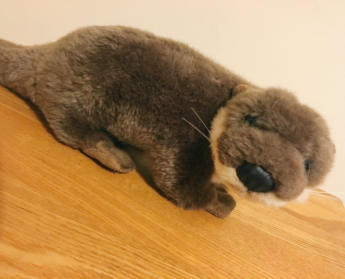 CovUniOT's tweet image. Did anyone spot ElliOT today at #CovOpenDay?! Search #CUOTter to find out more about his travels and conference trips! 😀