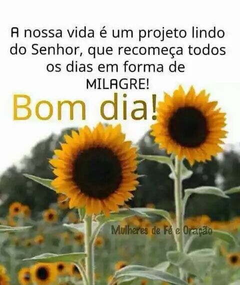 #ParceirosBeta 
<a href="/ParceirosBeta/">#PARCEIROSBETA OFICI</a>