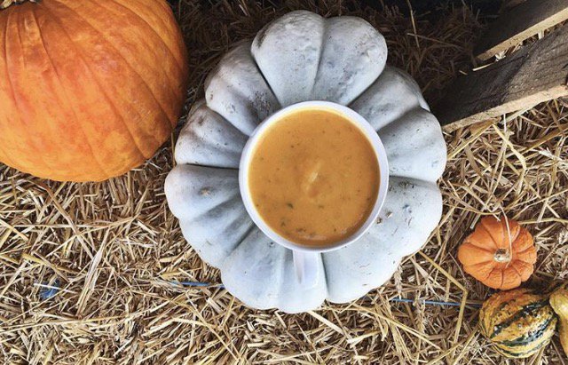 Looking to plan a healthy lunch? Our soups are back at #JuiceBarHsv! And today we are serving up butternut squash!