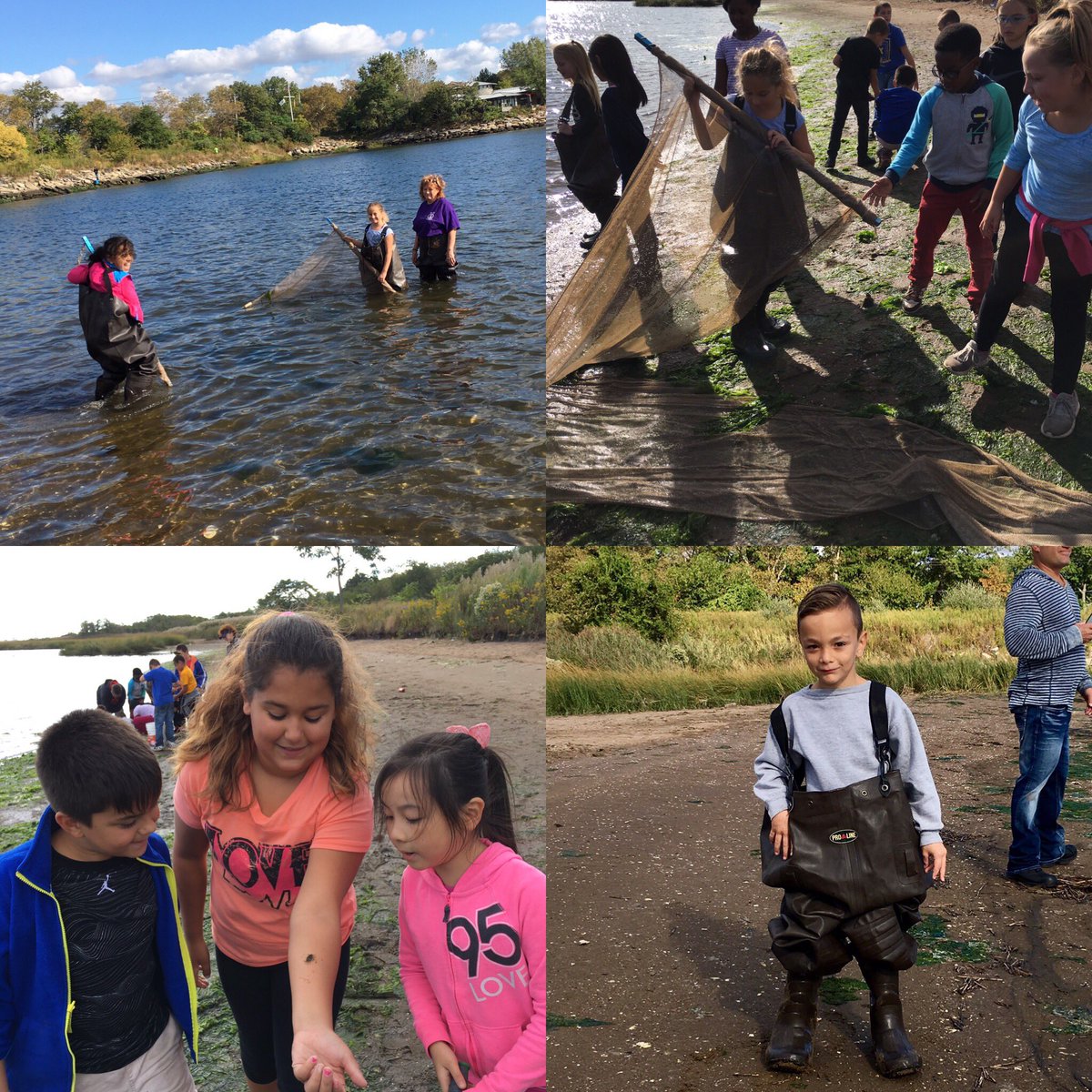 DonnaRGross's tweet photo. Learning outside of the classroom with a visit to the salt marsh! #PS277 #GetristenBeach #fishingwithwaders https://t.co/WOYUAfDsOY