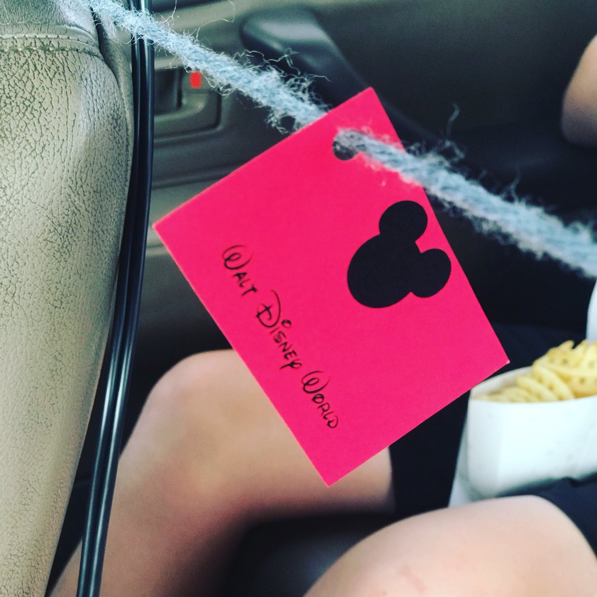 TashMcMurray's tweet photo. One car tag remains! #roadtrip #WDW2017 #MiCkeyMURRAY https://t.co/Y4OL3Xc8QM
