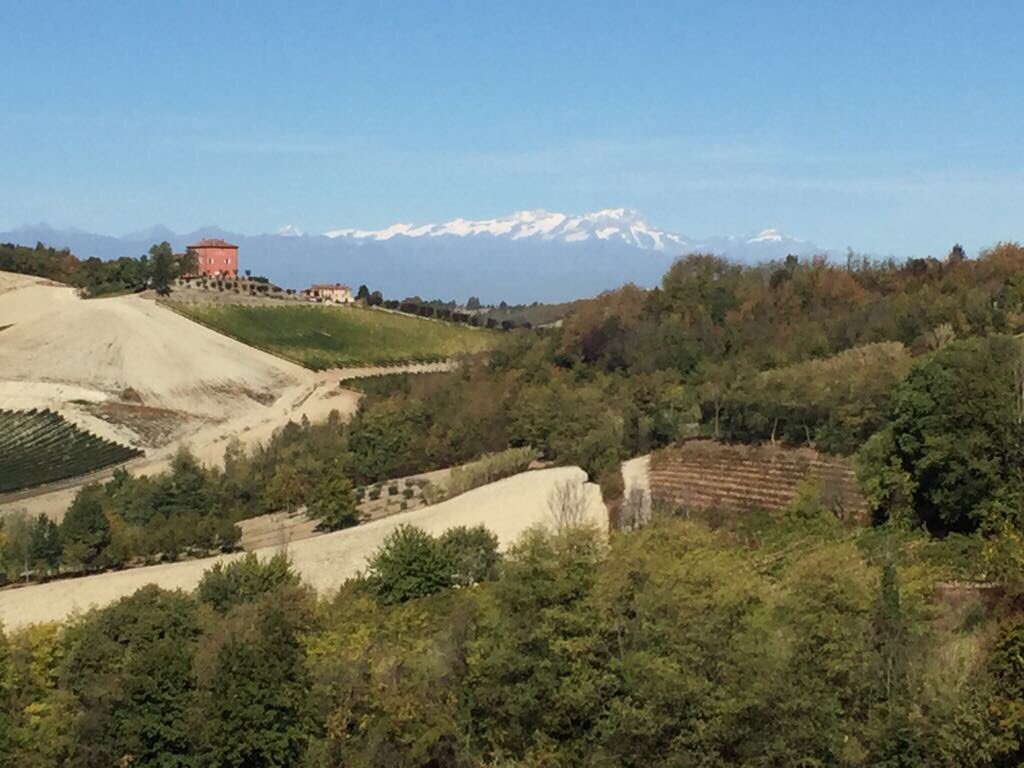 villarocco11's tweet image. A beautiful morning in Ozzano Monferrato #Piemonte #Monferrato