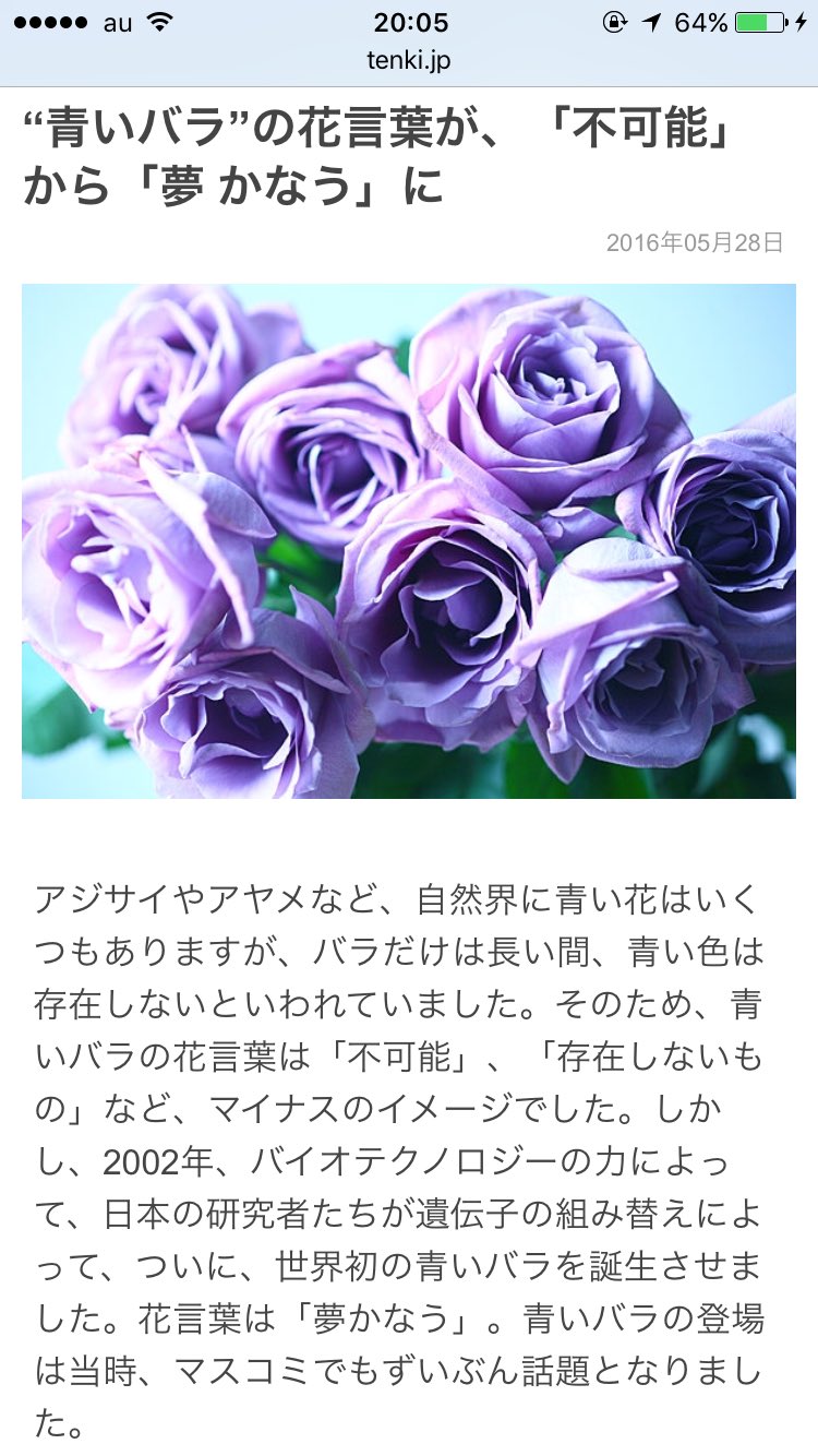טוויטר Michael בטוויטר 昨日頂いたお花の花言葉が 夢 叶う だそうです 自分にとってとても縁起のいいお花です 不可能 から 夢 叶う 不可能なんかじゃない 諦めないで夢追いかけて自分の夢を叶えます 必ずベルトを巻きます それが俺の夢 花言葉