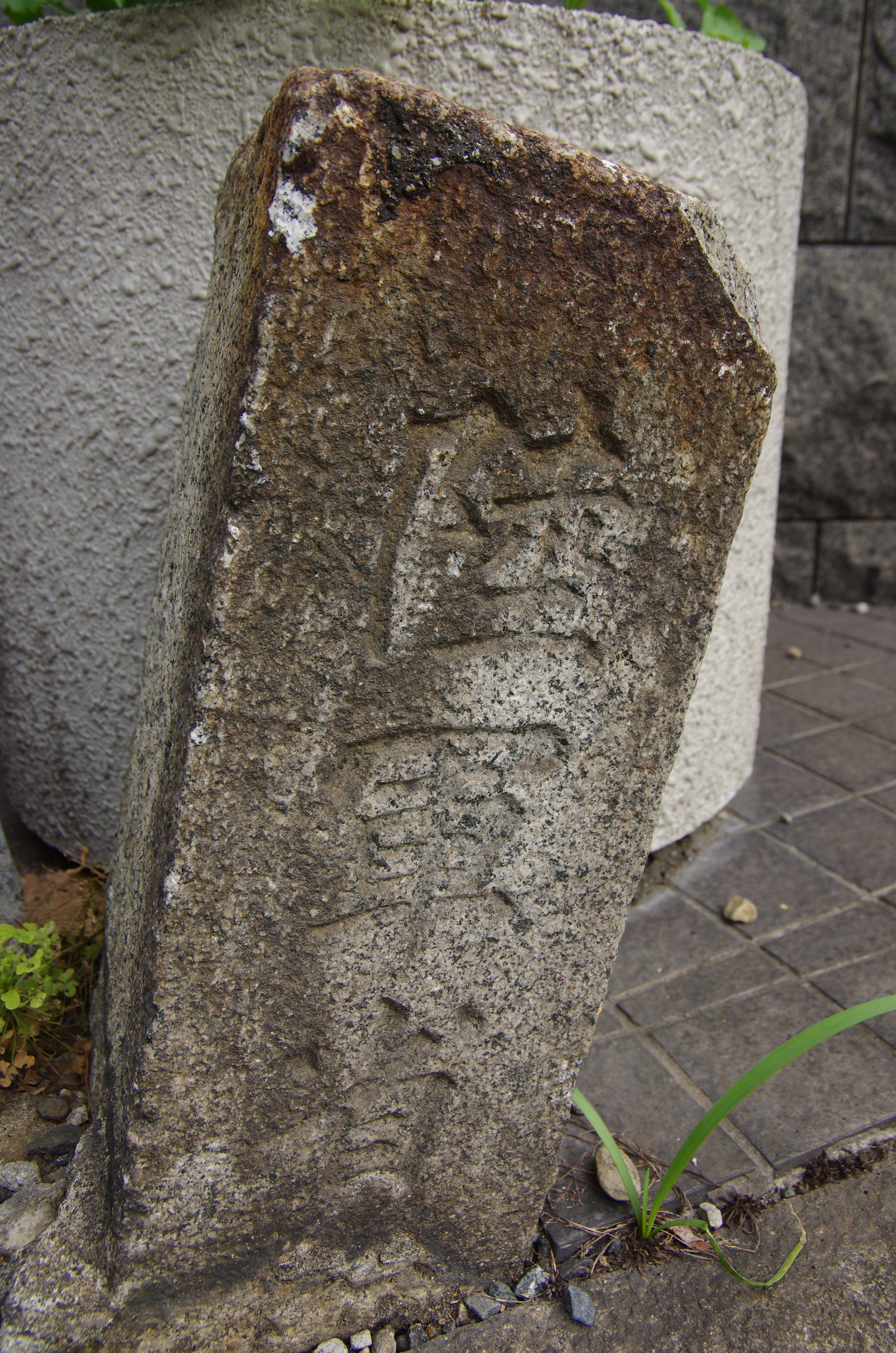 ç»å