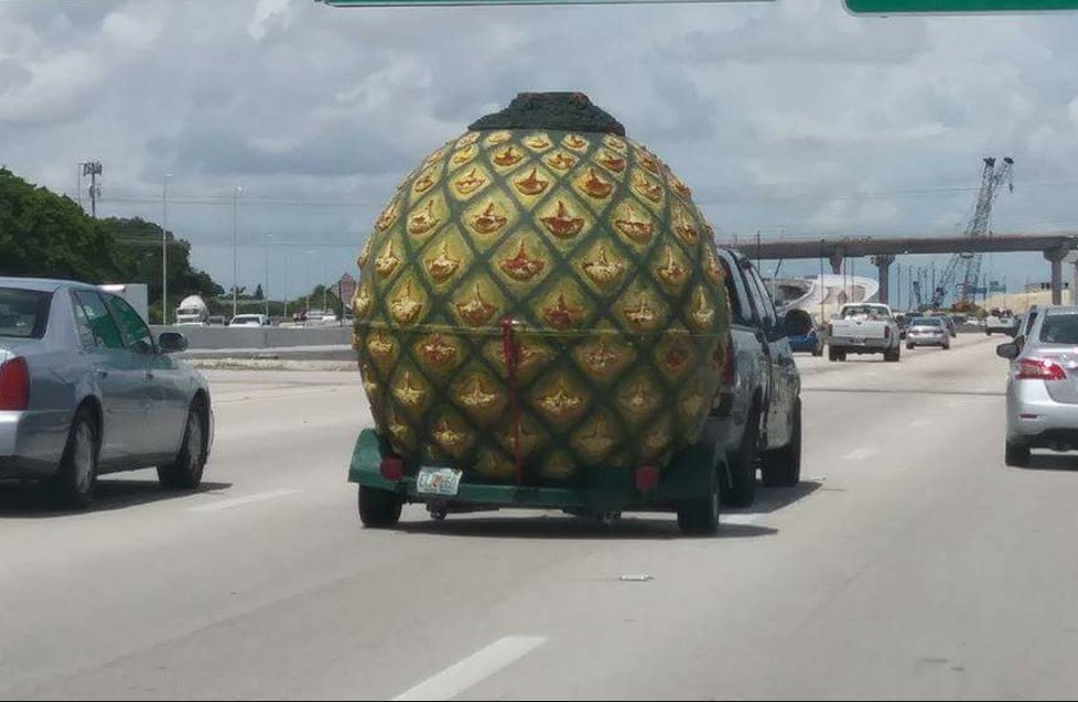 Darlene26811165's tweet photo. #HurricaneNate Spongebob Spotted evacuating Bikini Bottom https://t.co/43gdvKFT88