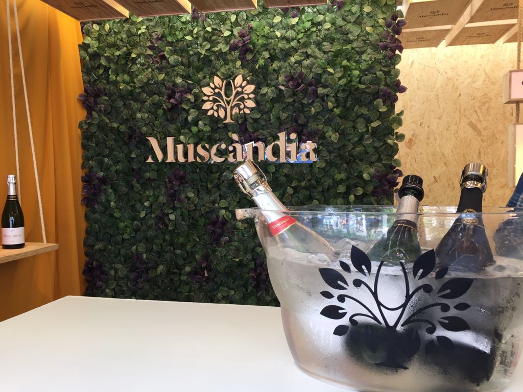 El guanyador ha estat <a href="/CavaMuscandia/">Muscàndia</a>! Enhorabona! 🥇