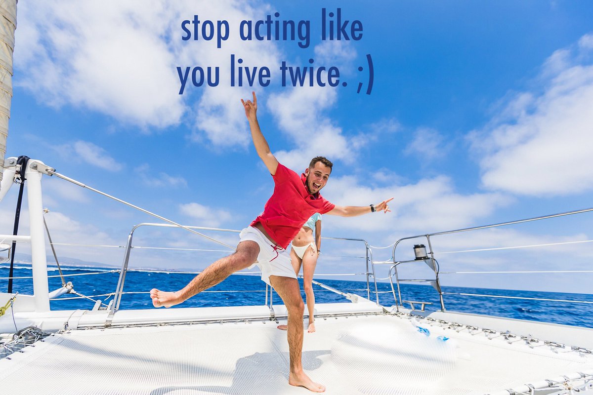 Perfect Octopus 🦴 tweet media