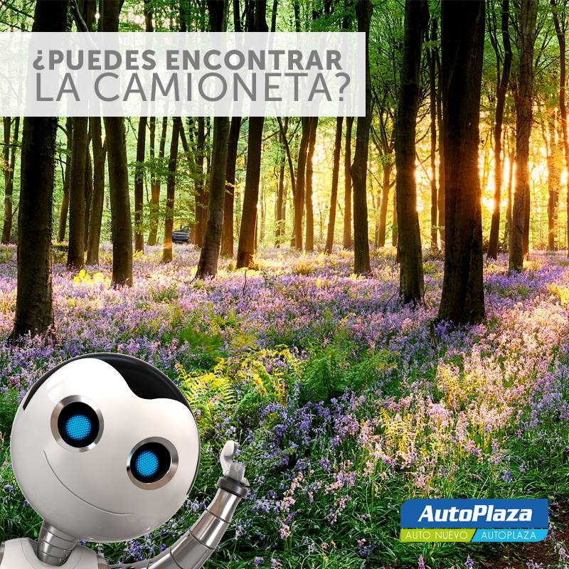 AutoplazaCL's tweet photo. ¡Feliz Día Nacional del #MedioAmbiente! Este 7 y 8  visita gratis las áreas protegidas del país 🌳🌳 Salimos pero perdimos la camioneta... https://t.co/DEd3XHOuG9