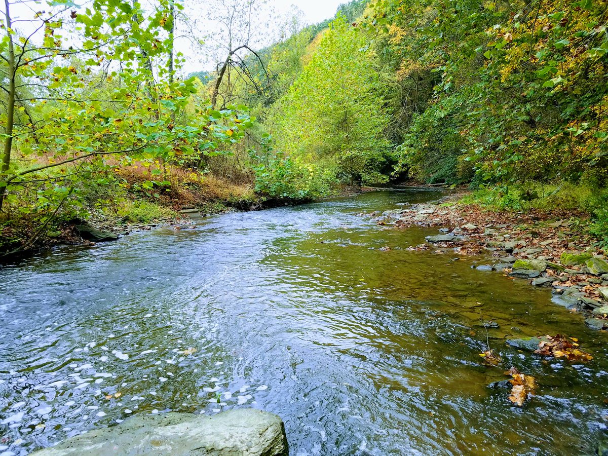 Playing_Angles's tweet photo. Quick pic while #flyfishing yesterday. No numbers, but a beautiful day! #trout #fall #nature #nymphing https://t.co/MAmslFFCYL