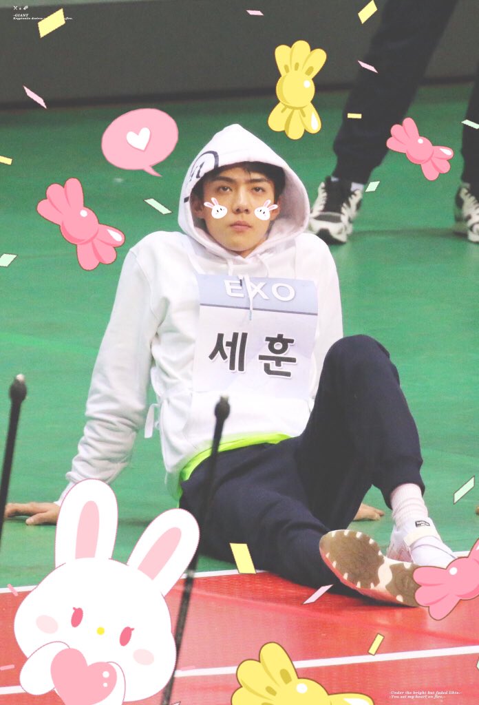 softoshbot's tweet image. ↳ #오세훈 ♡₊˚. #엑소 ࿐ྂ♡