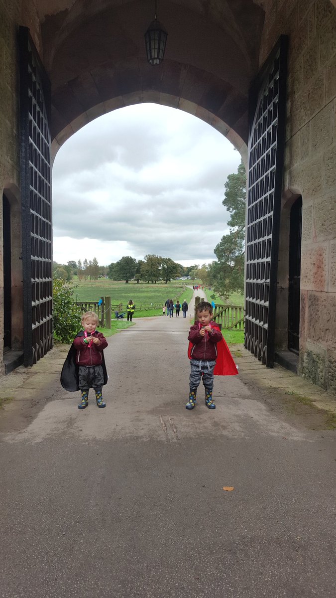 NSupermum's tweet photo. Two little superheroes with their medals from their @alzheimerssoc #memorywalk ❤ #wewalkunited https://t.co/x6am1wqxZM