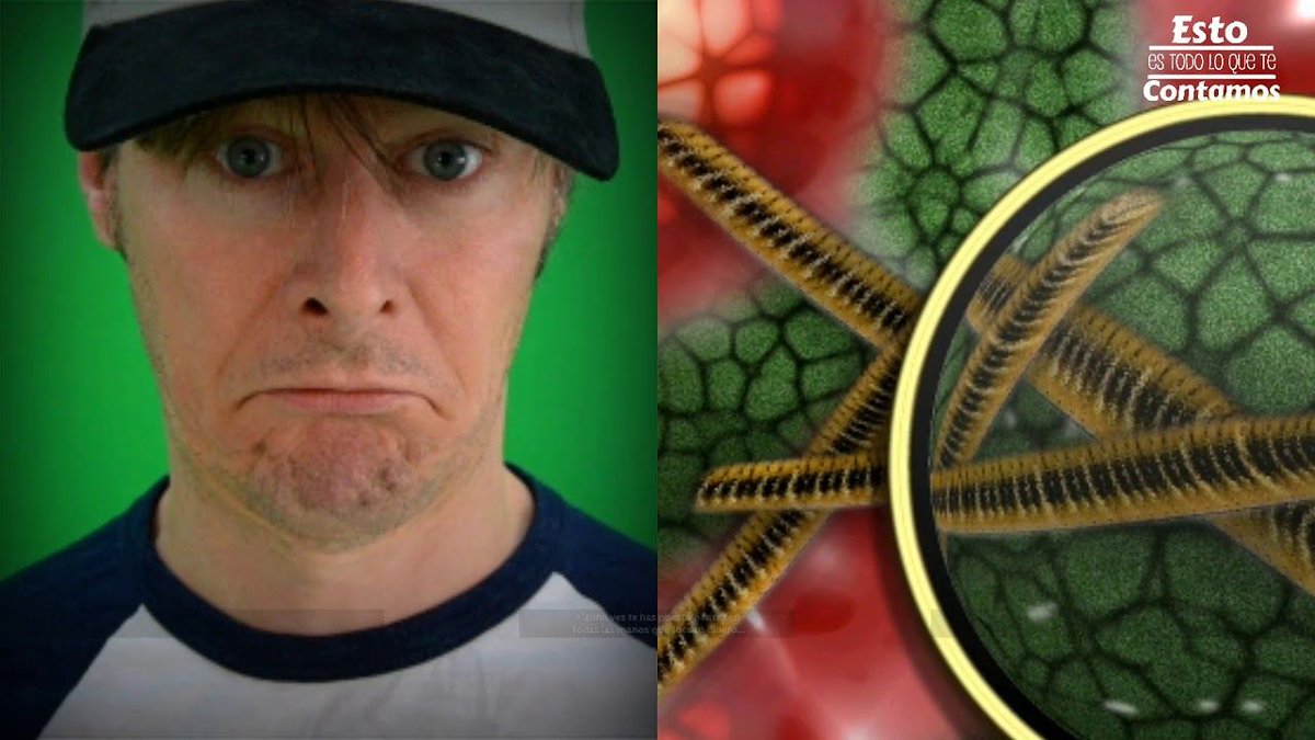 NUEVO vídeo ▶bit.ly/2y5Wr3T #youtube #nuevo #top #misterio <a href="/Promo_YT/">Promos YouTubers 16K</a> <a href="/PromosCanales/">RT Canales Youtube</a> <a href="/YouTube_RTs_/">YouTube RT's</a>  @YouTube_RTD <a href="/YTRetweets/">★YouTube Retweets★</a>