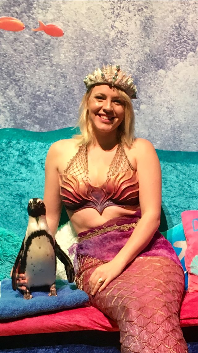 RicUrbanMSAQ's tweet photo. Celebrate #AfricanPenguinAwarenessDay with Mermaid Melody by going #plasticfree #SaveTheMermaidsChallenge #SaveOurOceans It's #InOurHands https://t.co/dgseuWpQMX