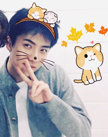 softoshbot's tweet image. ↳ #오세훈 ♡₊˚. #엑소 ࿐ྂ♡