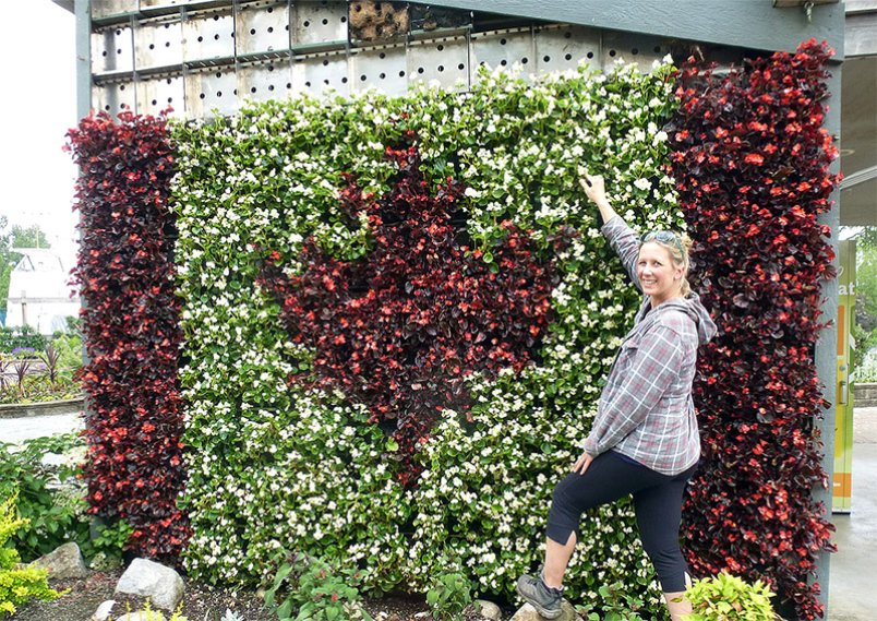 Best BC Insurance tweet media