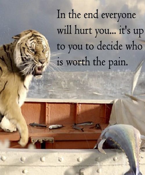 John (@ionutz113) on Twitter photo 